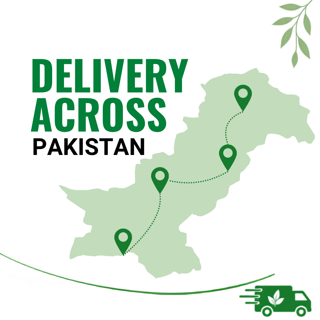 Delivery across Pakistan - convenient nationwide ordering with Cash on Delivery available.